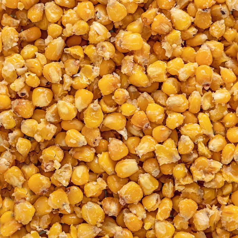 Carp Target pineapple fishing corn + 10 l bucket 5