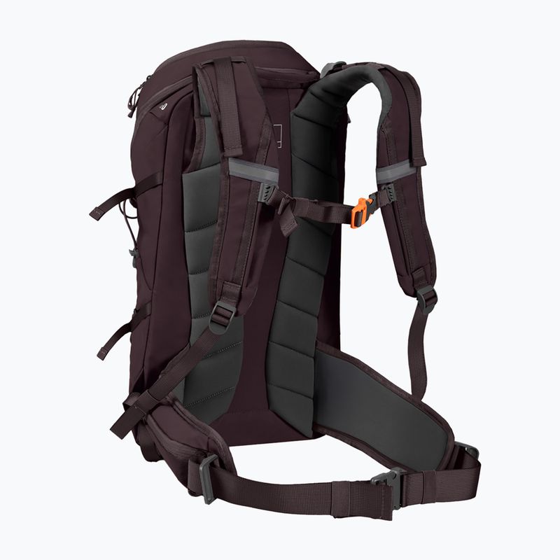 Hiking backpack Alpinus Teno 24 l gray 2
