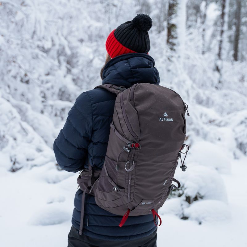 Hiking backpack Alpinus Teno 24 l gray 5
