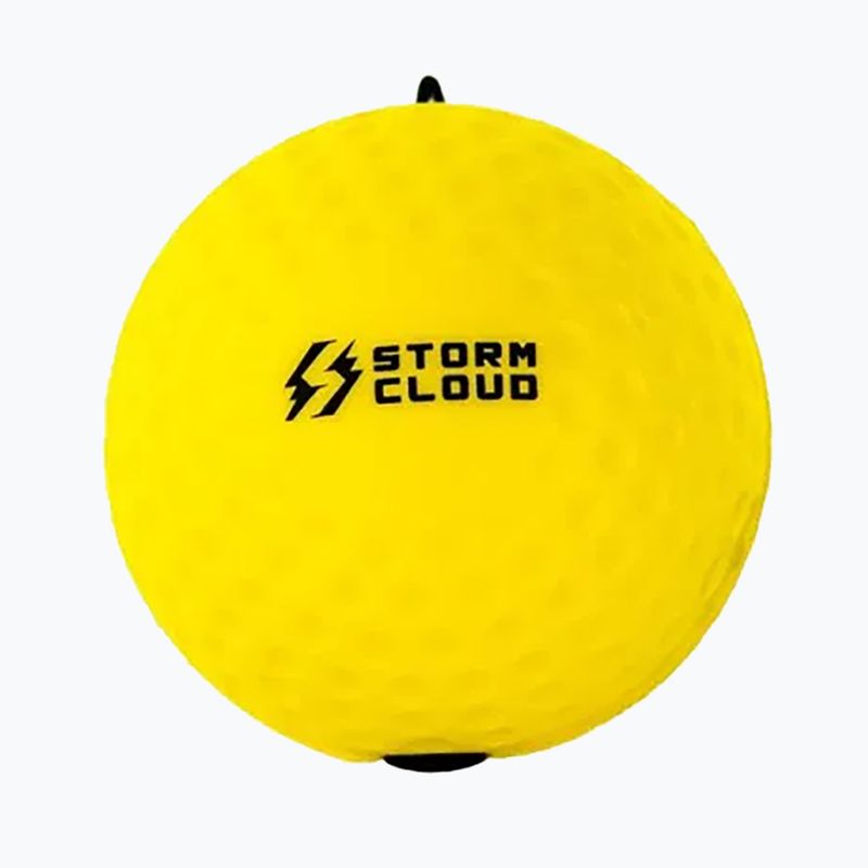 Reflex balls StormCloud Reflex Ball Duo yellow/black 3