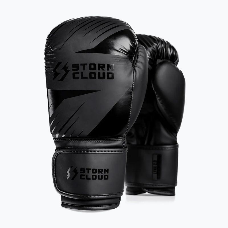Boxing gloves StormCloud Lynx 2.0 black/black 2
