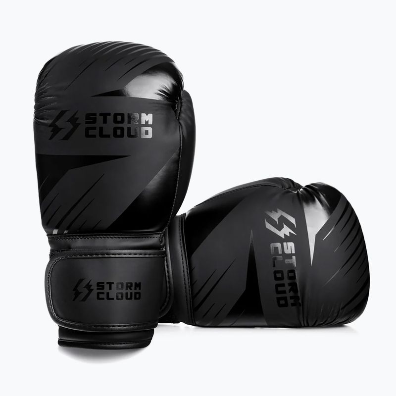Boxing gloves StormCloud Lynx 2.0 black/black 3