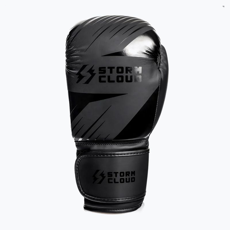 Boxing gloves StormCloud Lynx 2.0 black/black 4