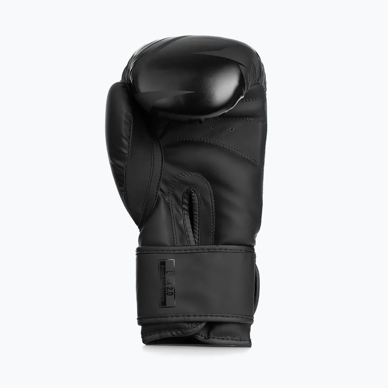 Boxing gloves StormCloud Lynx 2.0 black/black 5