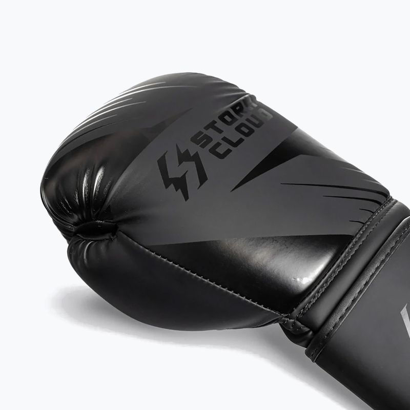 Boxing gloves StormCloud Lynx 2.0 black/black 6
