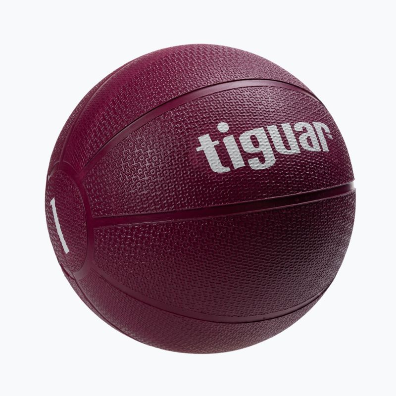 Tiguar medicine ball TI-PL0001 1 kg