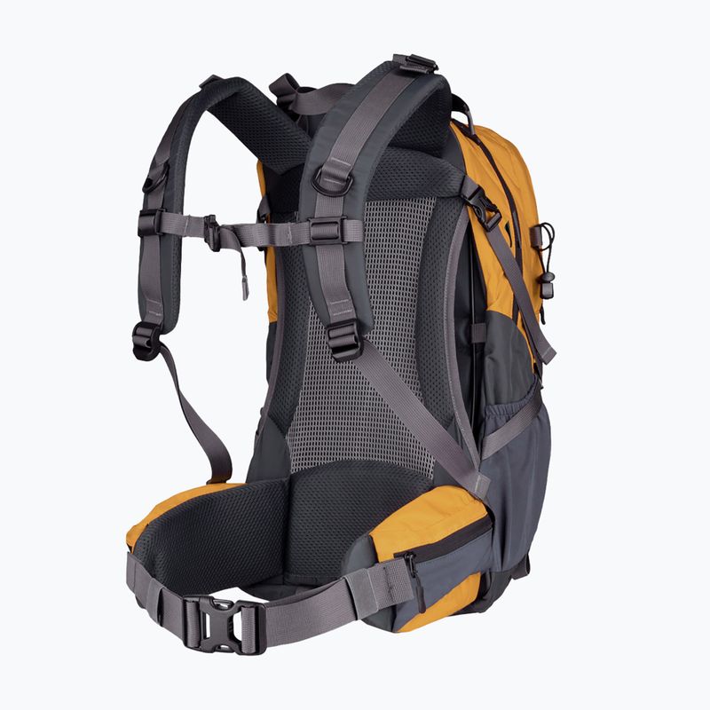 Hiking backpack Alpinus Tarfala 35 l mustard 2