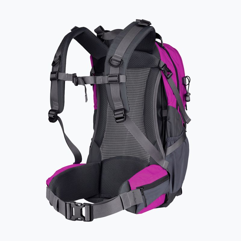 Hiking backpack Alpinus Tarfala 35 l fuchsia 2