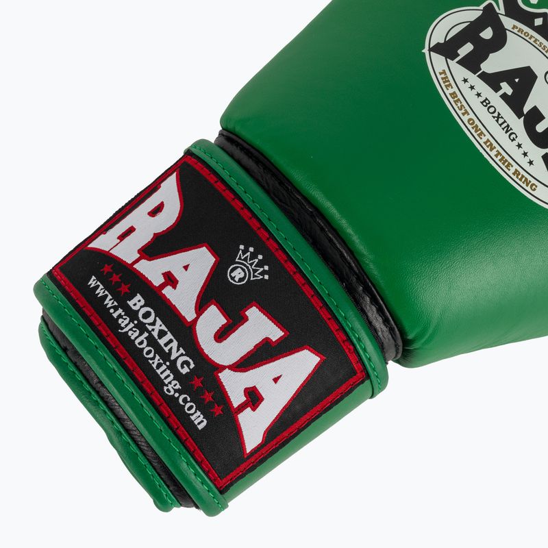 Boxing gloves RAJA BOXING Single Standard Genuine Leather green 6