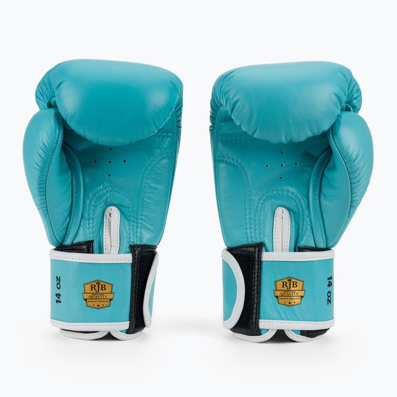 Boxing gloves RAJA BOXING Single Standard Genuine Leather light blue 3