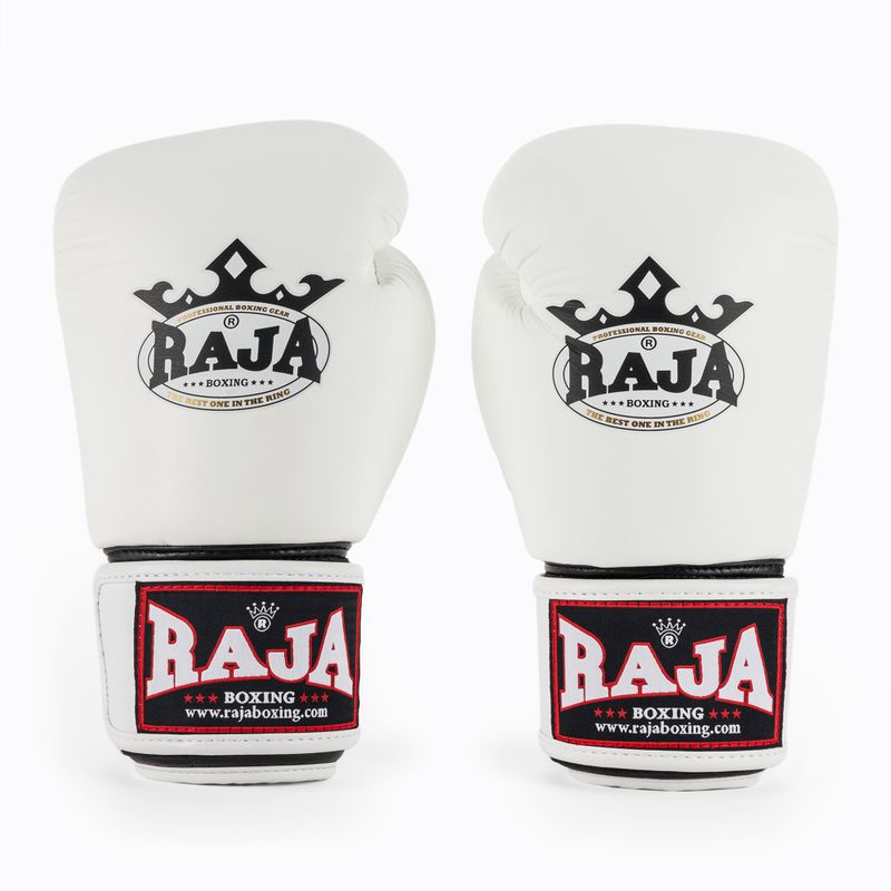 Boxing gloves RAJA BOXING Single Standard Genuine Leather white 2