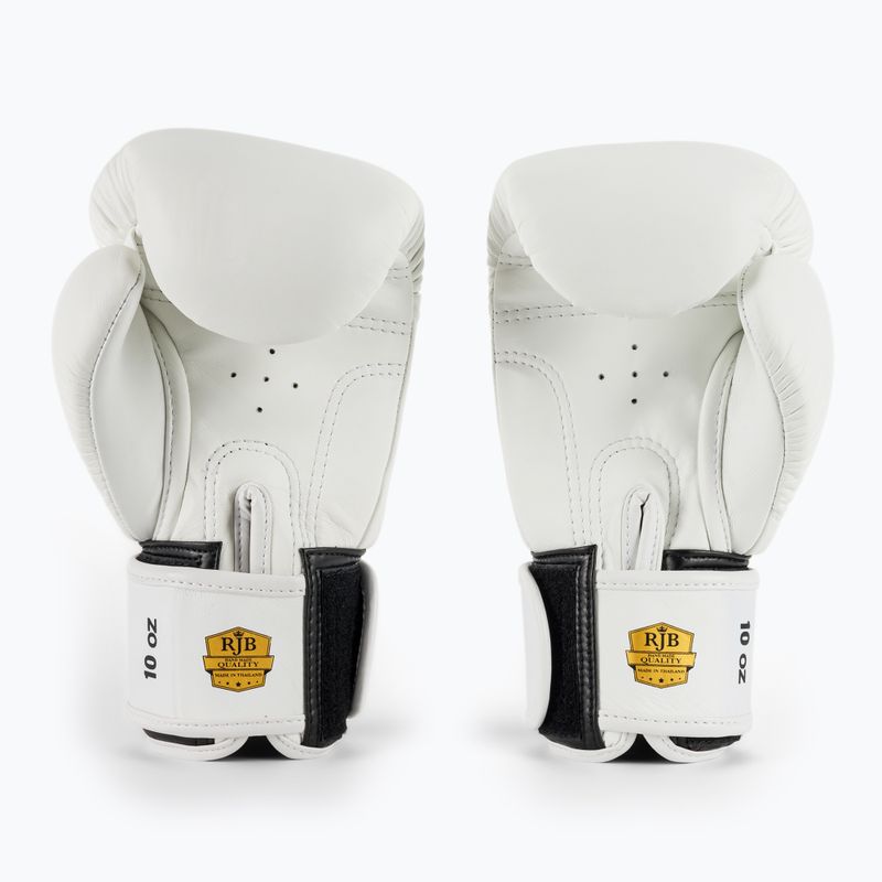 Boxing gloves RAJA BOXING Single Standard Genuine Leather white 3