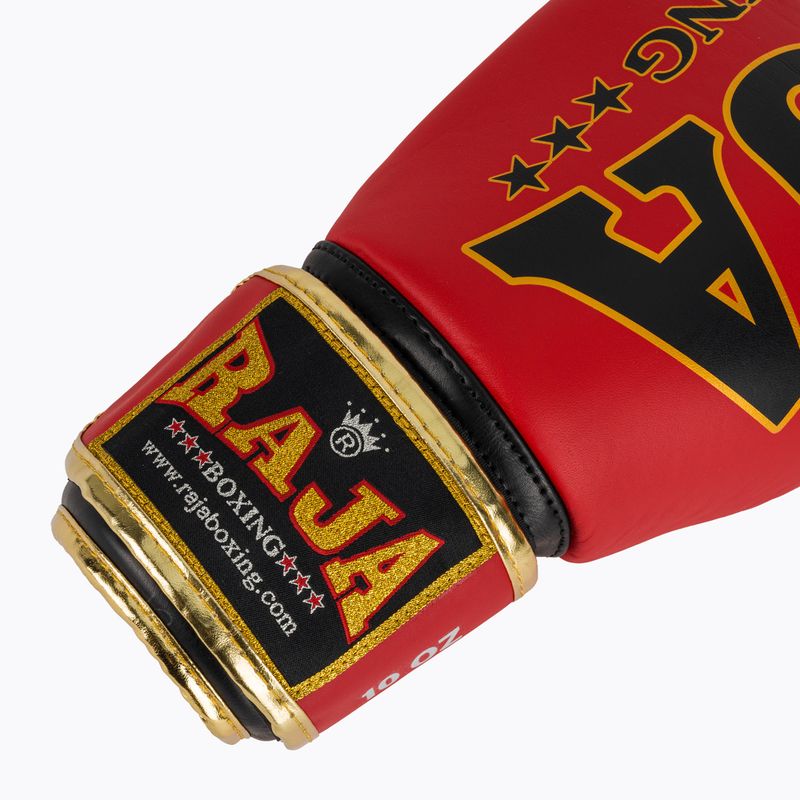 Boxing gloves RAJA BOXING Origin Standard Genuine Leather red 6
