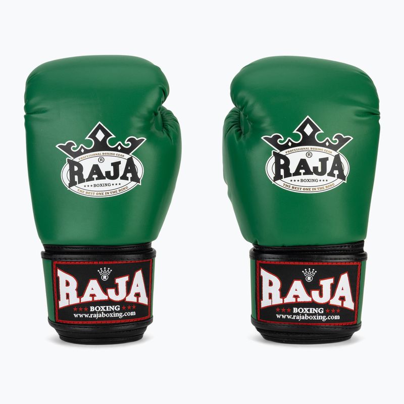 Boxing gloves RAJA BOXING Single Semi Leather green 2