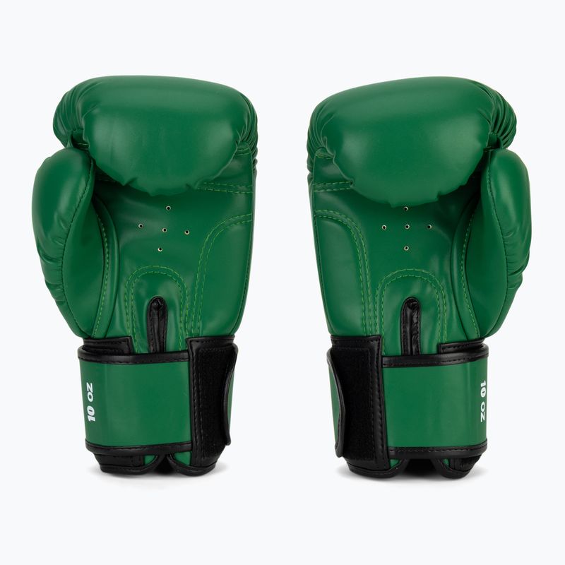 Boxing gloves RAJA BOXING Single Semi Leather green 3