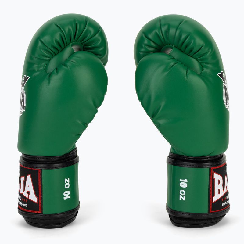 Boxing gloves RAJA BOXING Single Semi Leather green 4