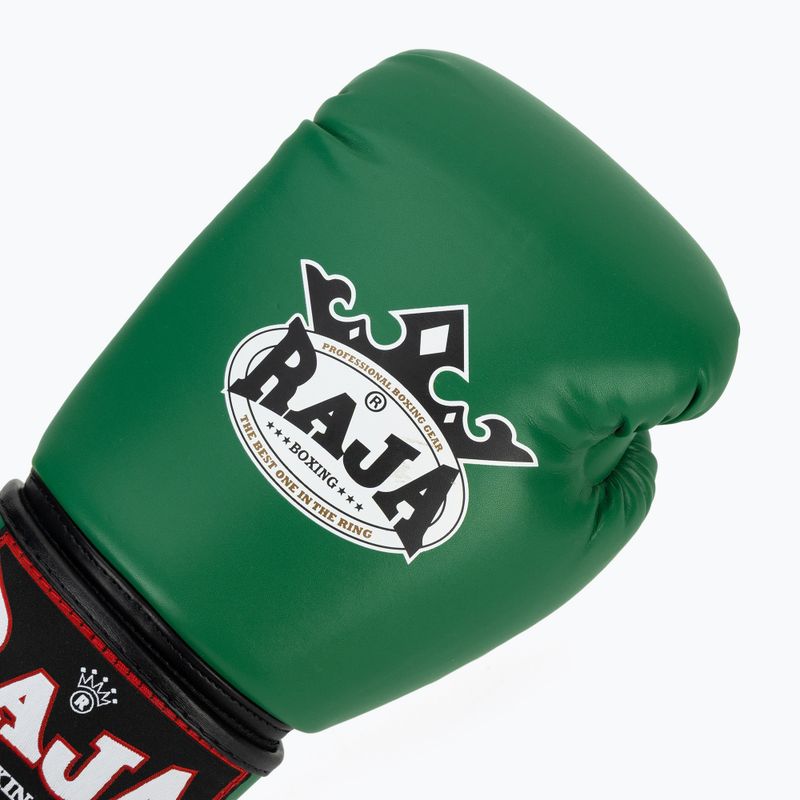 Boxing gloves RAJA BOXING Single Semi Leather green 5