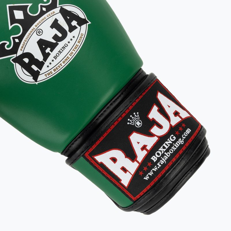 Boxing gloves RAJA BOXING Single Semi Leather green 6