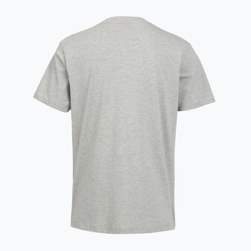 Men's T-shirt PROSTO Biglog gray 2