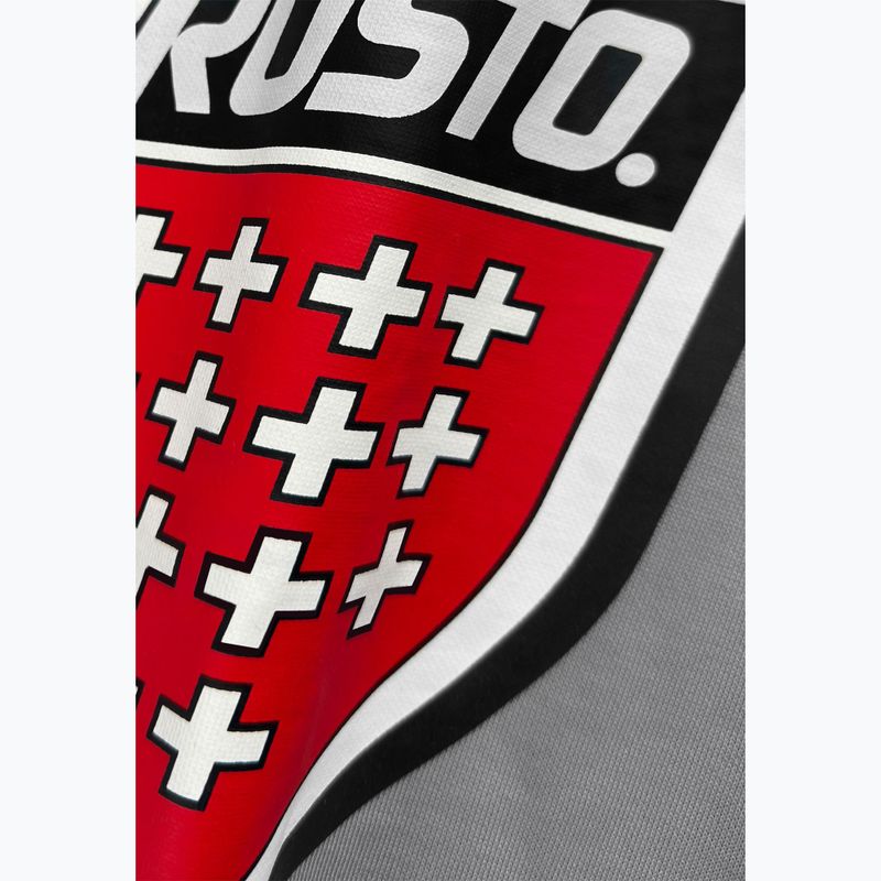 Men's sweatshirt PROSTO Big Shield Crewneck gray 3