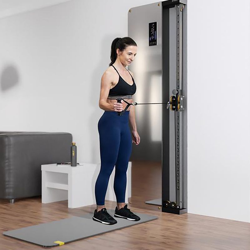 HMS BSP301 Commercial wall-mounted training gate 5