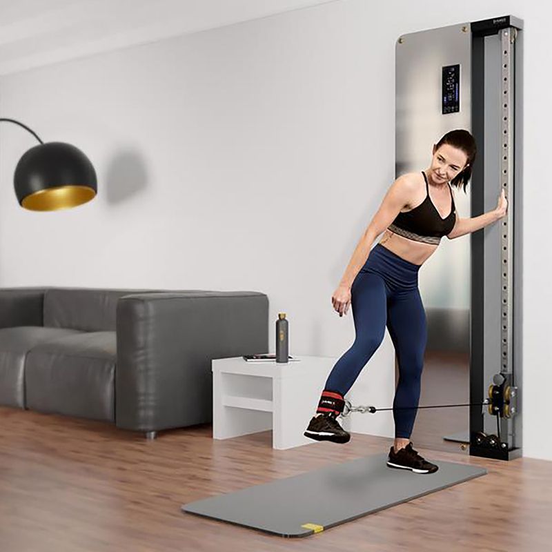 HMS BSP301 Commercial wall-mounted training gate 6