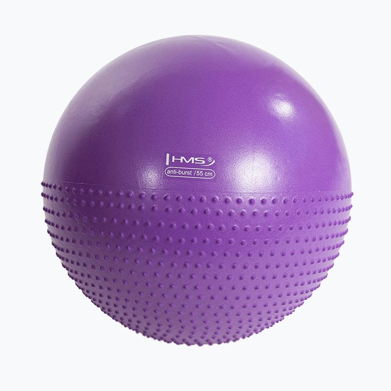 Gymnastic ball HMS YB03 NEW 55 cm purple 2