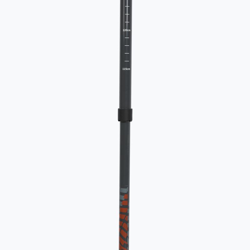 Ski touring poles Viking Mission grey 4