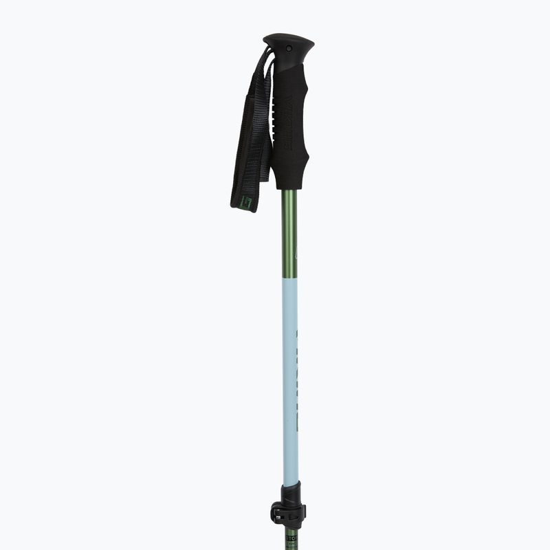Trekking poles Viking Kivi 2.0 green 2
