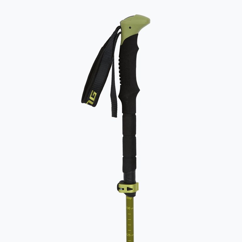 Trekking poles Viking Terve 2.0 green 2