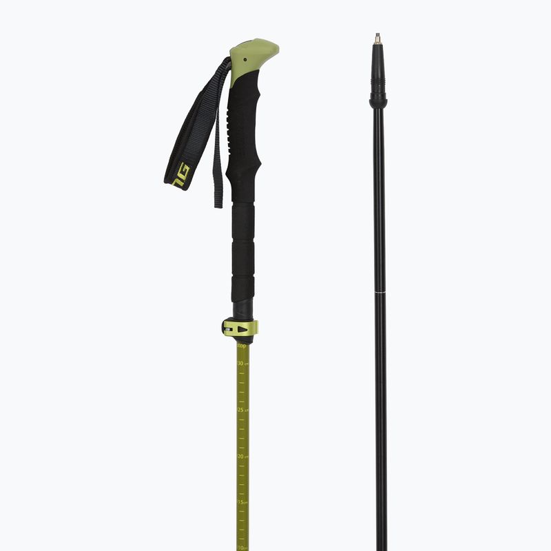 Trekking poles Viking Terve 2.0 green 3