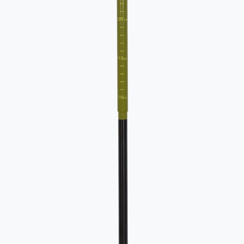 Trekking poles Viking Terve 2.0 green 4
