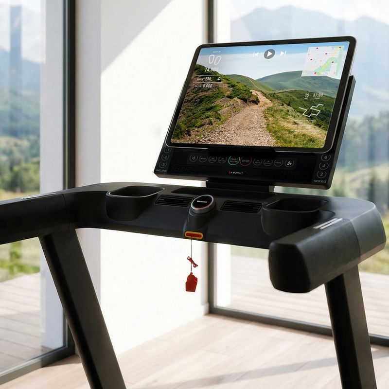Electric treadmill HMS Terrun350 black 12