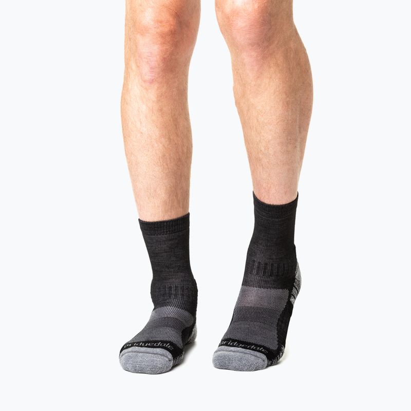 Men's socks Bridgedale Lightweight Merino Performance 3/4 Crew Original black/silver 5