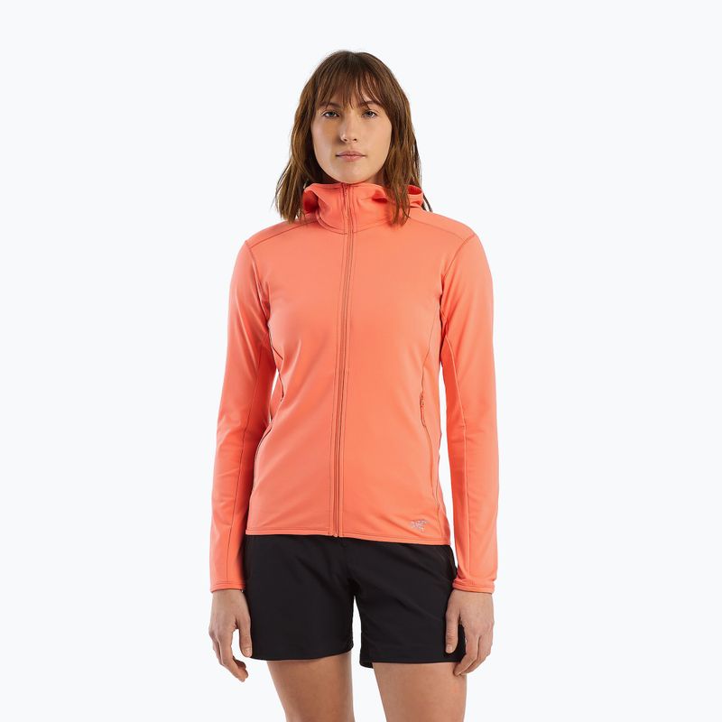 Women's trekking sweatshirt Arc'teryx Kyanite LT Hoody grey X000005692046