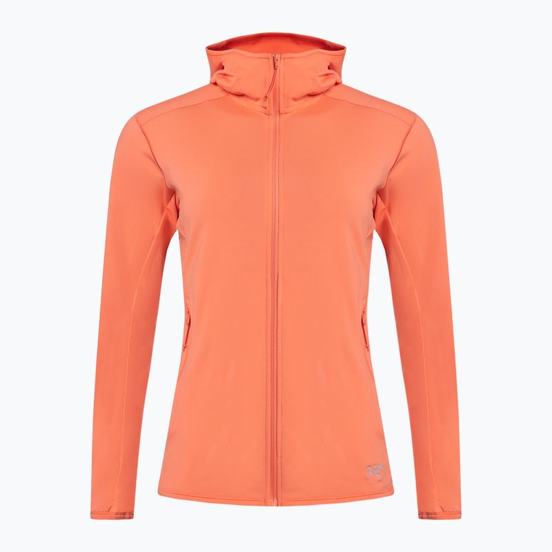 Women's trekking sweatshirt Arc'teryx Kyanite LT Hoody grey X000005692046 7