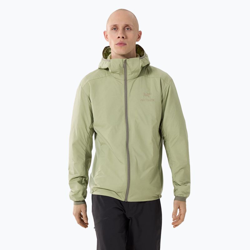 Men's Arcteryx Atom Hoody insulated jacket chloris