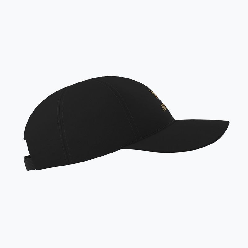 Baseball cap Arc'Teryx Bird Wood 24k black 4