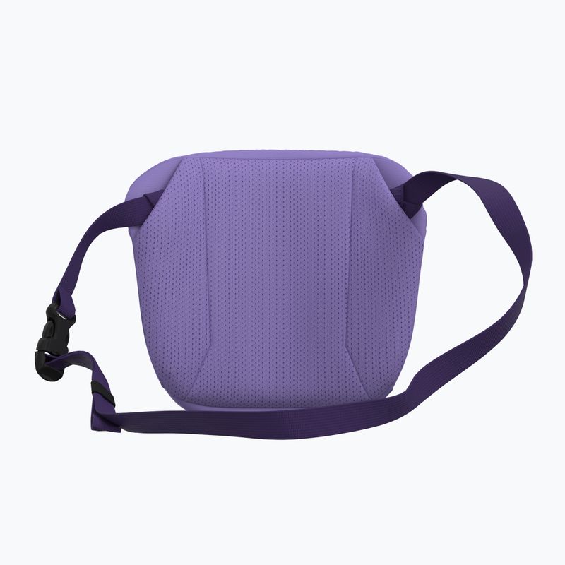 Sachet Arc'teryx Mantis 2 2,5 l aster/azalea 3