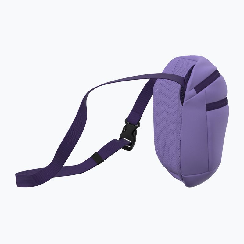 Sachet Arc'teryx Mantis 2 2,5 l aster/azalea 4