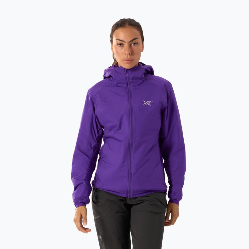Women's insulated jacket Arcteryx Atom Hoody azalea