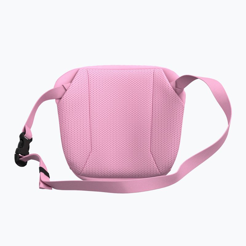 Pouch Arc'teryx Mantis 2 2,5 and pineberry 3