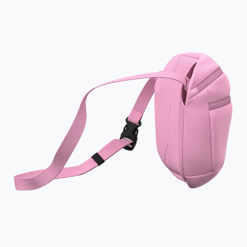 Pouch Arc'teryx Mantis 2 2,5 and pineberry 4