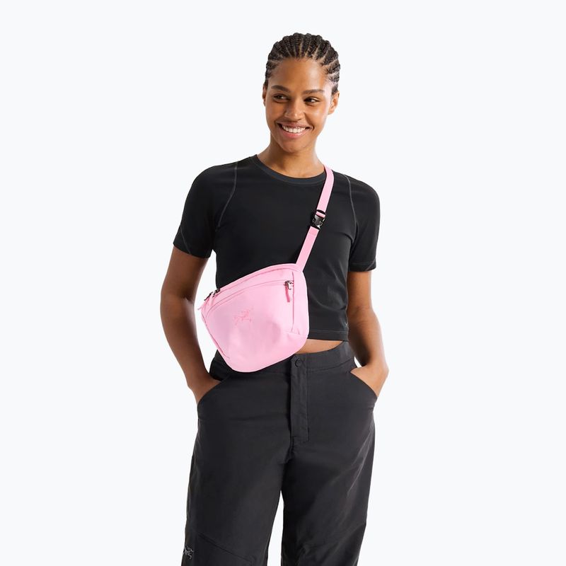 Pouch Arcteryx Mantis 2 2,5 and pineberry 5