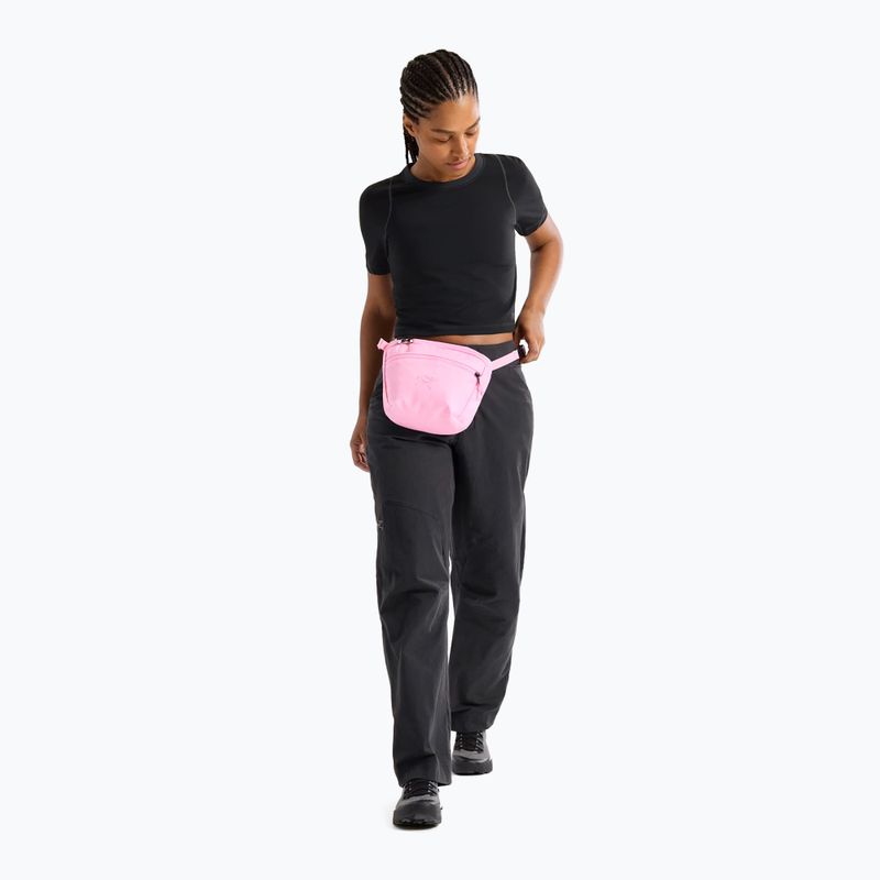 Pouch Arc'teryx Mantis 2 2,5 and pineberry 8