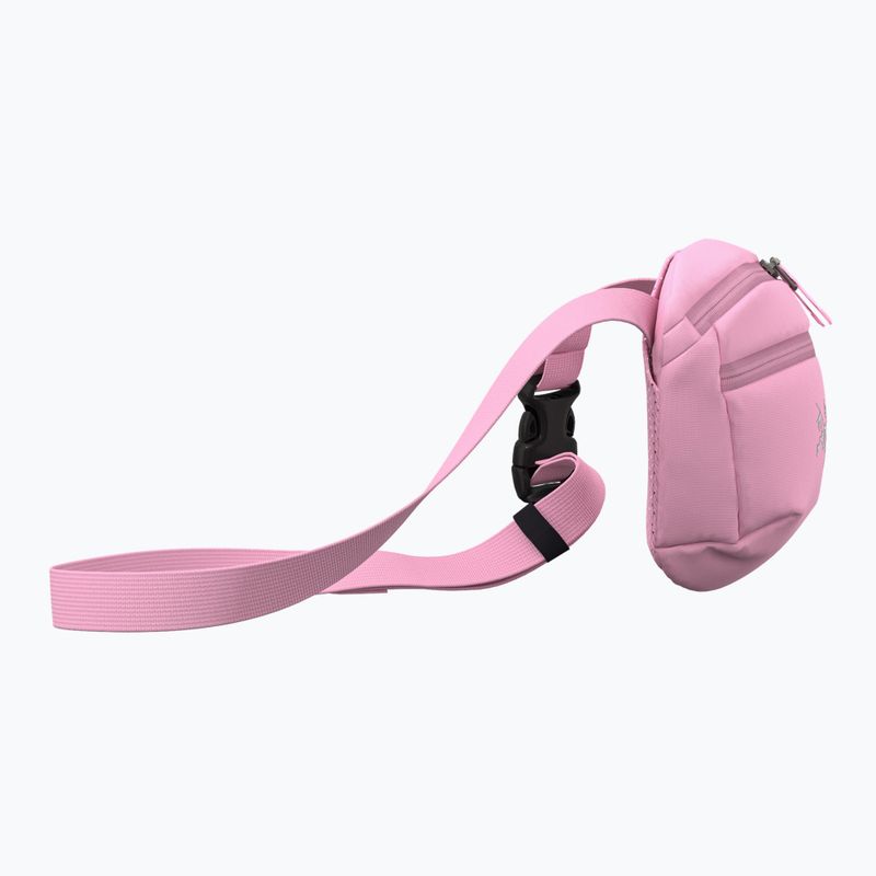 Pouch Arcteryx Mantis 1 1,5 l 4