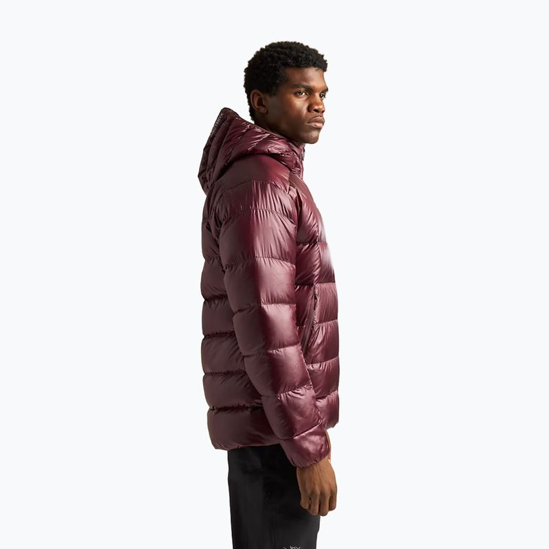 Men's insulated jacket Arcteryx Cerium SV Hoody ultima 5