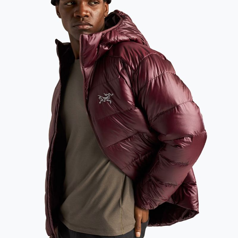 Men's insulated jacket Arcteryx Cerium SV Hoody ultima 10