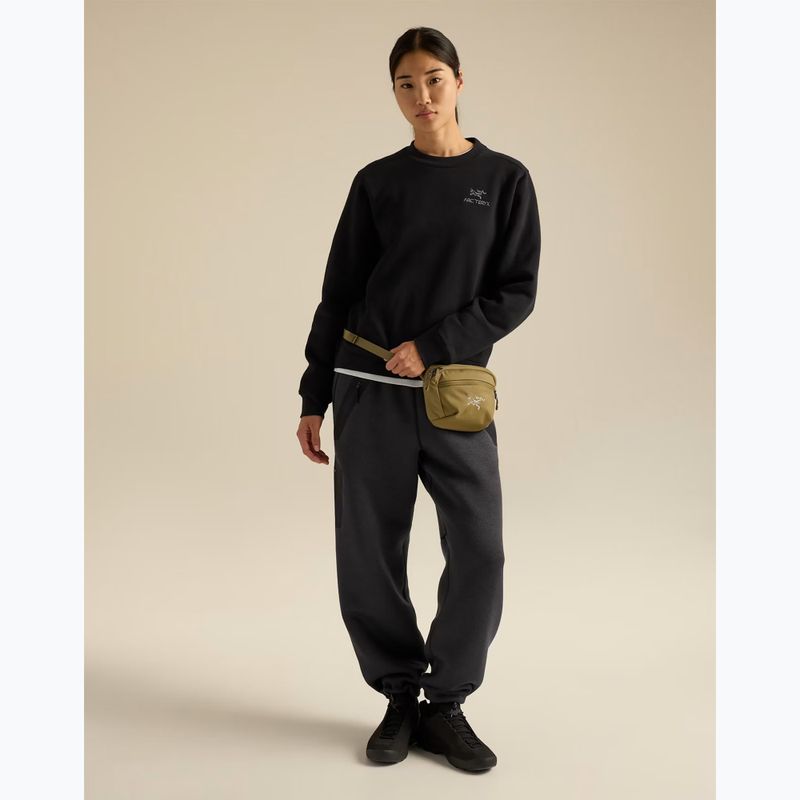 Waist bag Arcteryx Mantis 1 bracken 4