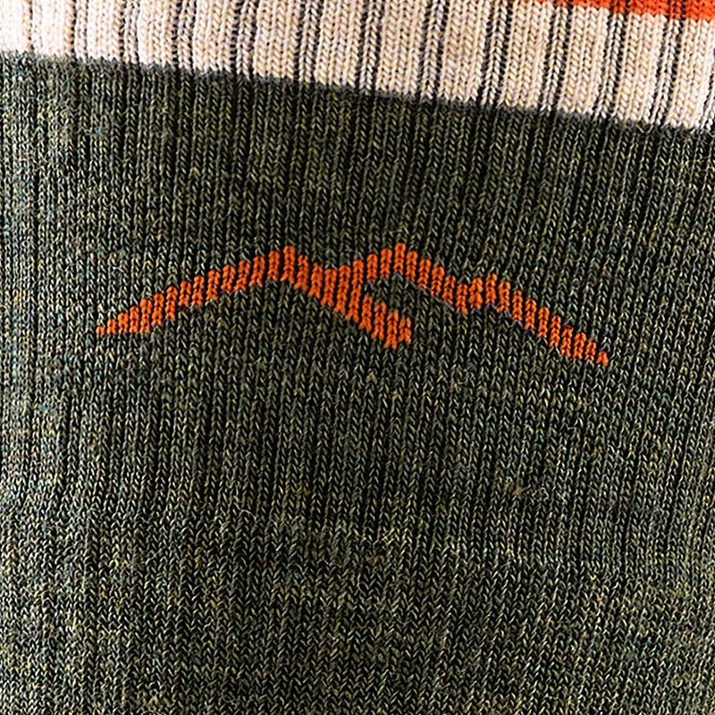 Men's Socks Darn Tough Hiker Boot Sock Cushion olive 2